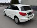 Mercedes-Benz B 160 B 160 CDI Weiß - thumbnail 7