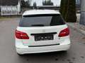 Mercedes-Benz B 160 B 160 CDI Weiß - thumbnail 5