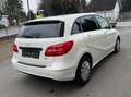 Mercedes-Benz B 160 B 160 CDI Weiß - thumbnail 6
