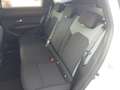 Dacia Bigster BIGSTER Extreme Mild Hybrid 140 Weiß - thumbnail 11