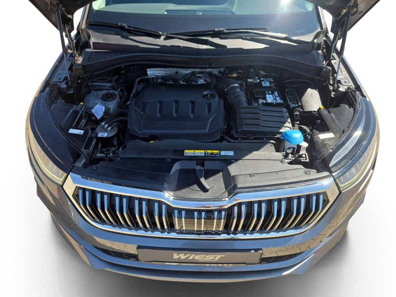 Skoda Kodiaq Laurin & Klement 2.0 TDI DSG 4x4, AHK/360 — photo 12