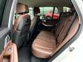 BMW X5 xDrive30d xLine Gestiksteuerung Head-Up HiFi Weiß - thumbnail 15