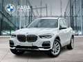 BMW X5 xDrive30d xLine Gestiksteuerung Head-Up HiFi Weiß - thumbnail 1