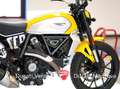 Ducati Scrambler Scrambler 800 Icon solo 3.303 km Gelb - thumbnail 18