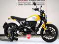 Ducati Scrambler Scrambler 800 Icon solo 3.303 km Gelb - thumbnail 2