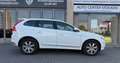 Volvo XC60 Summum LEDER NAVI XENON PANORAMA AHK AUTOMATIK Bianco - thumbnail 10
