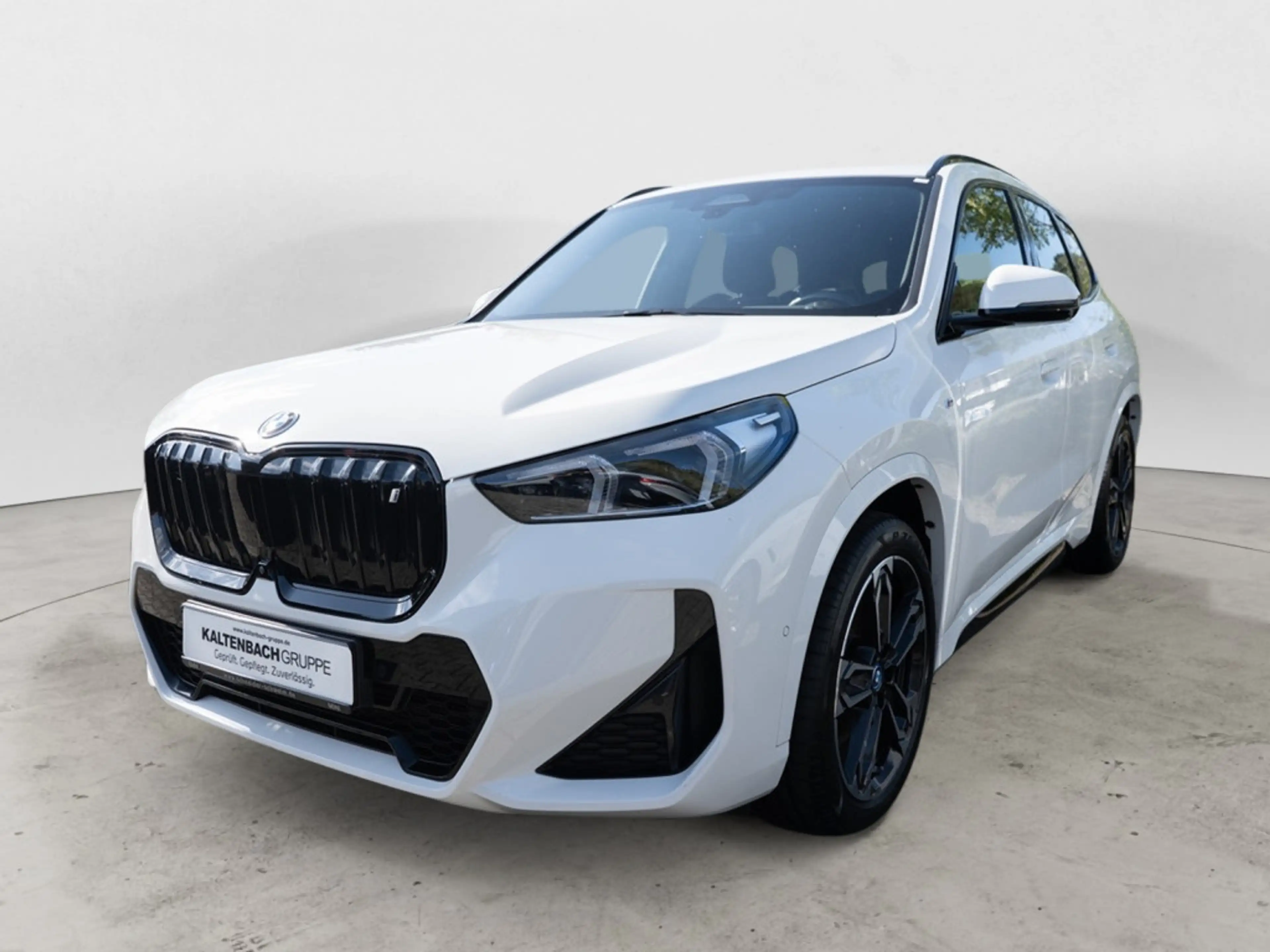 BMW iX1 xDrive30 M-Sport AHK HUD 360° LED NAVI — photo 2