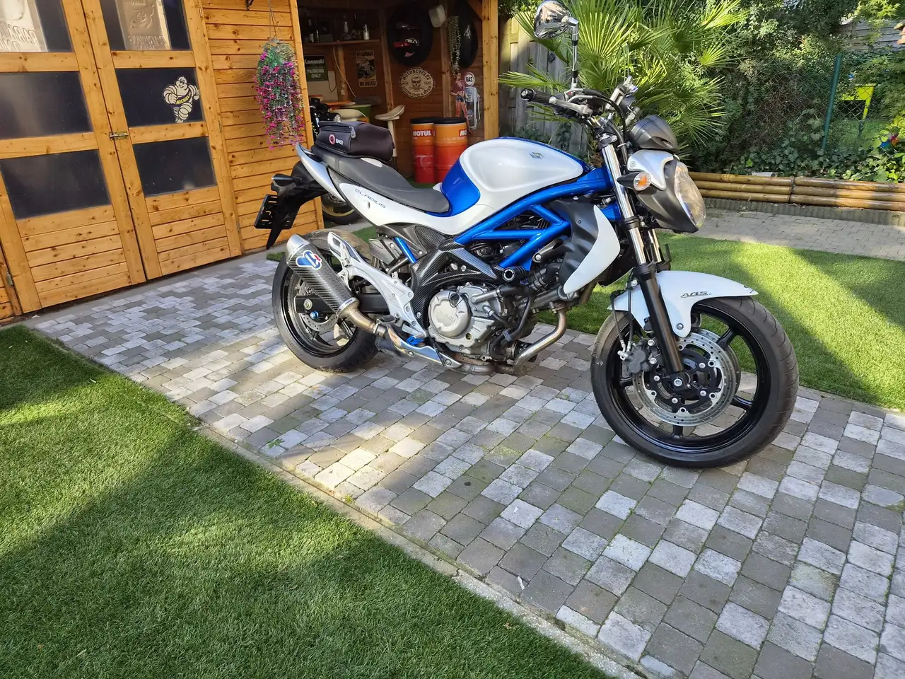 Suzuki Gladius 650