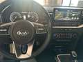 Kia XCeed Xceed 1.6 CRDi 136 CV Evolution Grigio - thumbnail 10