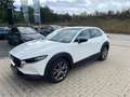 Mazda CX-30 X180 GT+/SO AHV Blanc - thumbnail 1