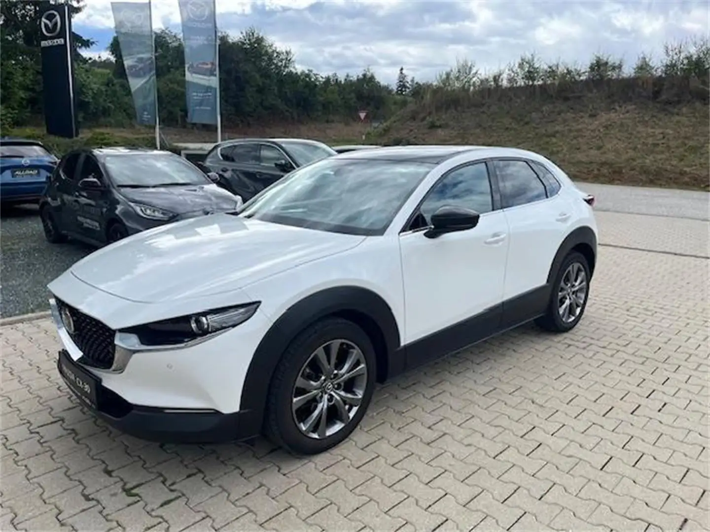 Mazda CX-30 X180 GT+/SO AHV Blanc - 1
