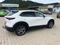 Mazda CX-30 X180 GT+/SO AHV Blanc - thumbnail 3