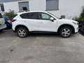 Mazda CX-5 Center-Line 2WD Weiß - thumbnail 15
