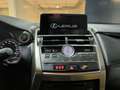 Lexus NX 300 2.5 300h Business Navigation 2WD Gris - thumbnail 41