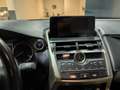 Lexus NX 300 2.5 300h Business Navigation 2WD Gris - thumbnail 43