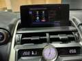 Lexus NX 300 2.5 300h Business Navigation 2WD Gris - thumbnail 38