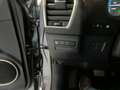 Lexus NX 300 2.5 300h Business Navigation 2WD Gris - thumbnail 30