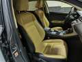 Lexus NX 300 2.5 300h Business Navigation 2WD Gris - thumbnail 20