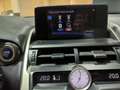 Lexus NX 300 2.5 300h Business Navigation 2WD Gris - thumbnail 37