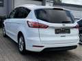 Ford S-Max Titanium 2.0 EcoBlue AHK/SH/1.Hand/Scheckh./Kamera Weiß - thumbnail 5