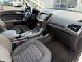 Ford S-Max Titanium 2.0 EcoBlue AHK/SH/1.Hand/Scheckh./Kamera Weiß - thumbnail 8
