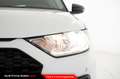 Audi A1 Sportback 30 TFSI S tronic Business Bianco - thumbnail 12