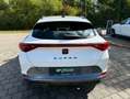 CUPRA Formentor 2.0 TDI Weiß - thumbnail 6
