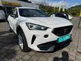 CUPRA Formentor 2.0 TDI Weiß - thumbnail 1