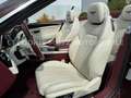 Bentley Continental GTC W12 °Cricket Ball°Mulliner°FULL Rot - thumbnail 16