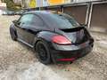 Volkswagen Beetle Sport Schwarz - thumbnail 4