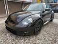 Volkswagen Beetle Sport Schwarz - thumbnail 2