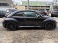 Volkswagen Beetle Sport Schwarz - thumbnail 3