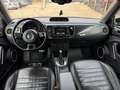 Volkswagen Beetle Sport Schwarz - thumbnail 12