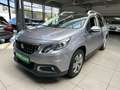 Peugeot 2008 Active Navi PDC SHZ Cam USB Grijs - thumbnail 1