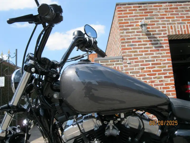 Harley-Davidson Forty-Eight 1200 - foto 8