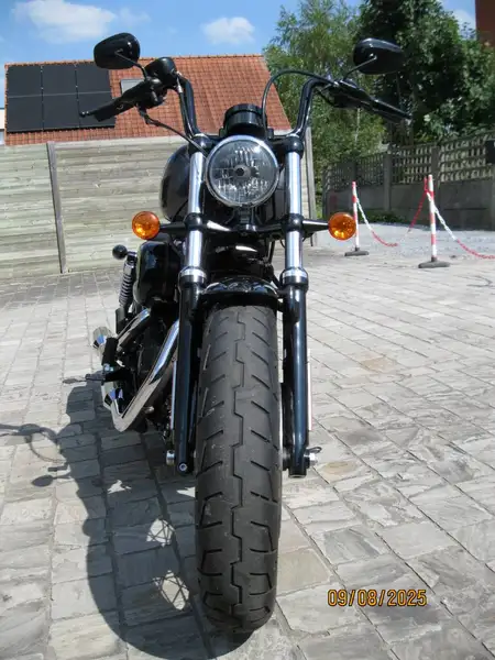 Harley-Davidson Forty-Eight 1200 - foto 6