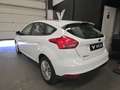 Ford Focus 1.5TDCi Business 120 Blanco - thumbnail 3