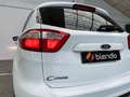 Ford C-Max C Max 1.0 ECOBOOST 125 TREND 125 5P White - thumbnail 15