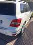 Mercedes-Benz GLK 220 GLK - X204 cdi be Edition1 4matic auto Bianco - thumbnail 4