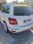Mercedes-Benz GLK 220 GLK - X204 cdi be Edition1 4matic auto Bianco - thumbnail 5