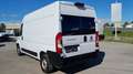 Fiat Ducato 2,3 L2H2 *Netto €16.658,-* Weiß - thumbnail 6