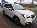 Subaru Forester Exclusive AHK, LED,SHZ,UVM... Weiß - thumbnail 11