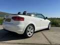 Audi A3 1.6 Ambition Pro L Wit - thumbnail 6