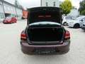Volkswagen Passat Comfortline BMT/Start-Stopp Red - thumbnail 17