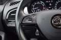 Skoda Fabia Combi 1.0 TSI Business Edition | Cruise | Apple Ca Wit - thumbnail 20
