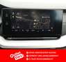 Skoda Octavia Premium TDI DSG Grau - thumbnail 18
