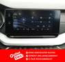 Skoda Octavia Premium TDI DSG Grijs - thumbnail 20