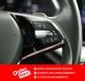 Skoda Octavia Premium TDI DSG Grau - thumbnail 25