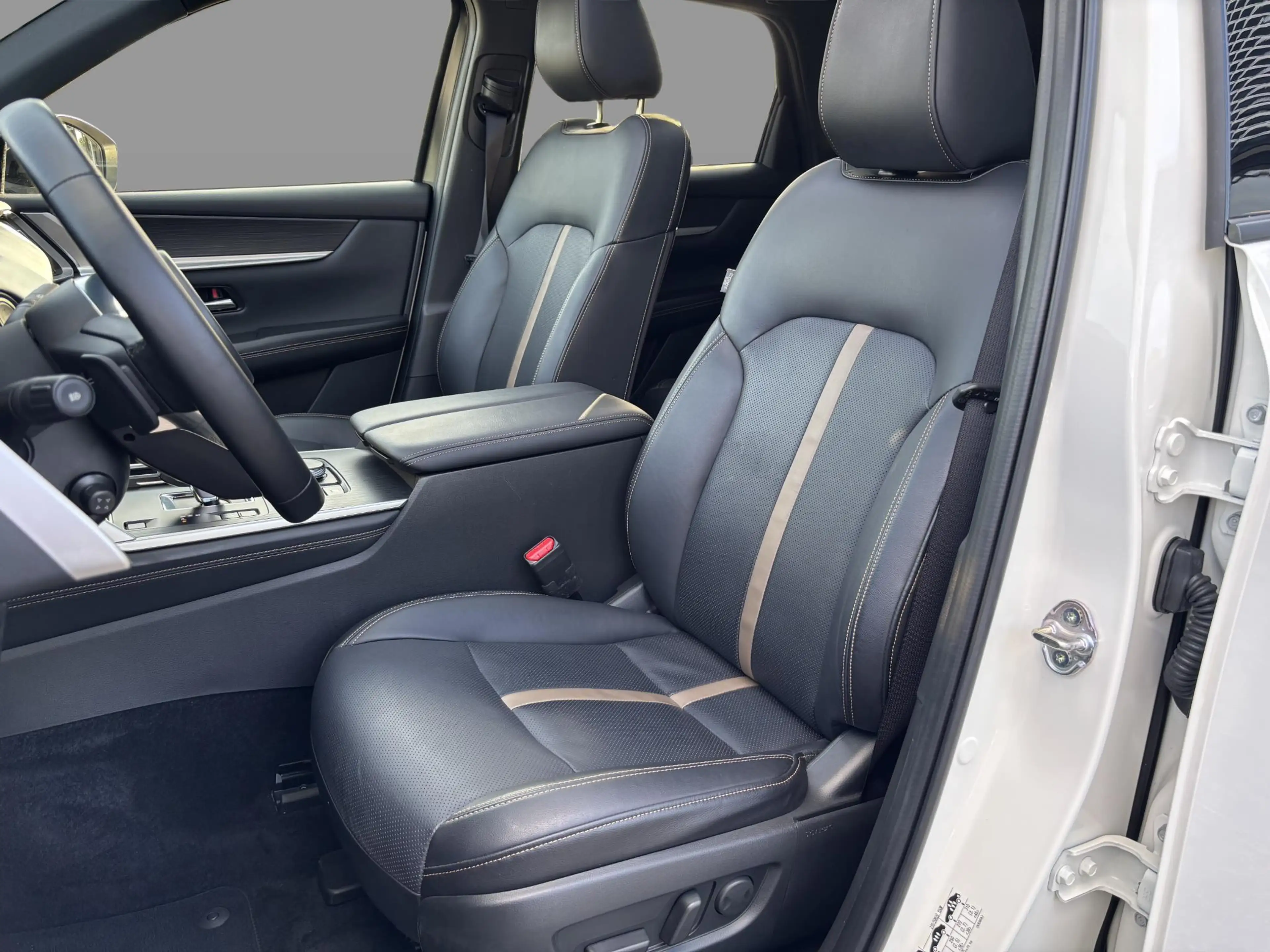 Mazda CX-60 2.5 e-SkyActiv PHEV Homura Plus Automaat, Leder, D — photo 10