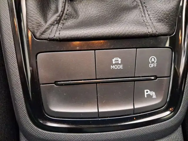 Skoda Kamiq view 12